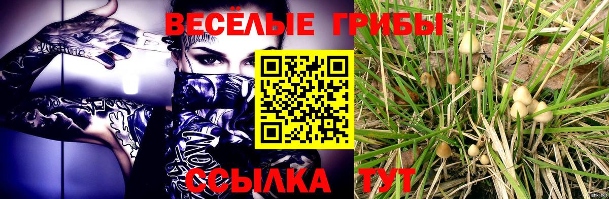 Галлюциногенные грибы мухоморы Котовск