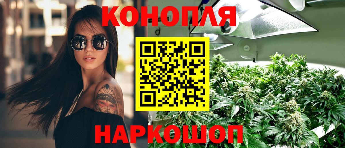 Шишки марихуана план Котовск